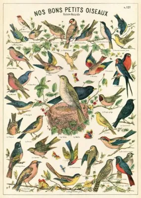  Bird Chart  Poster