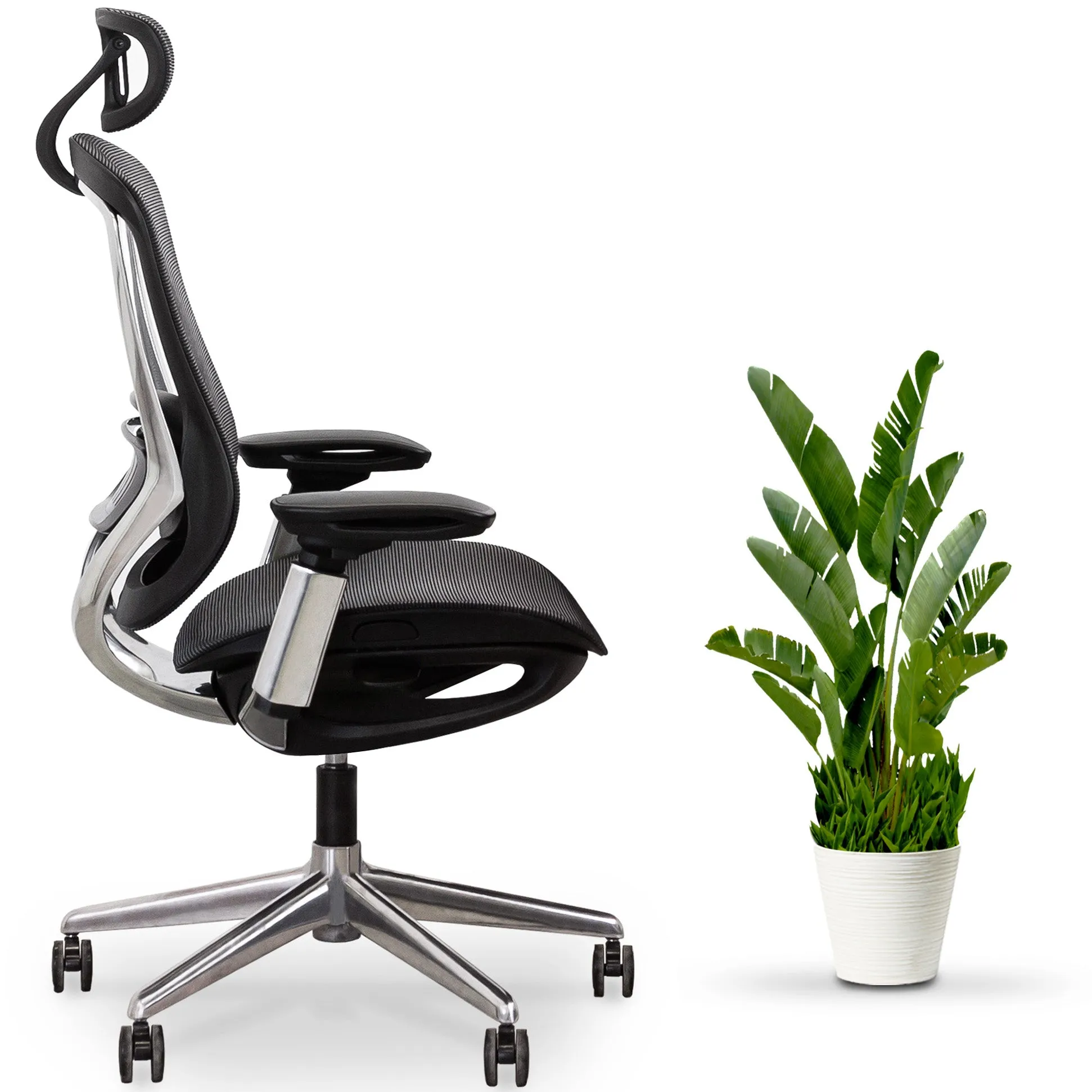 CeliniChair - Ergonomic Chair