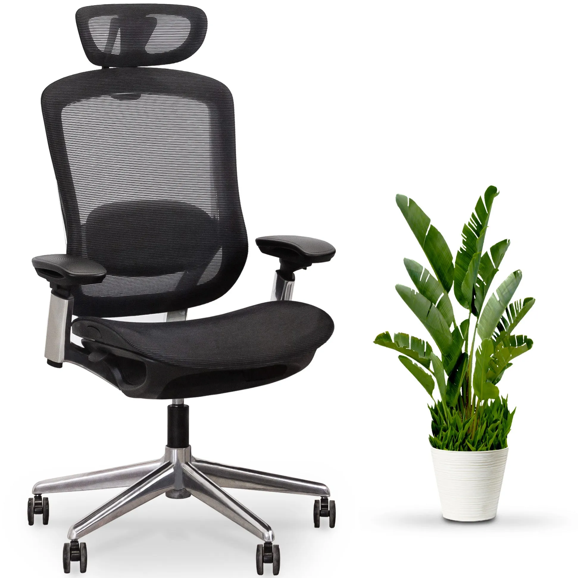 CeliniChair - Ergonomic Chair