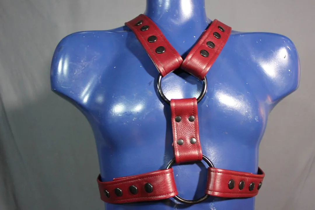 Classic Extended X Harness