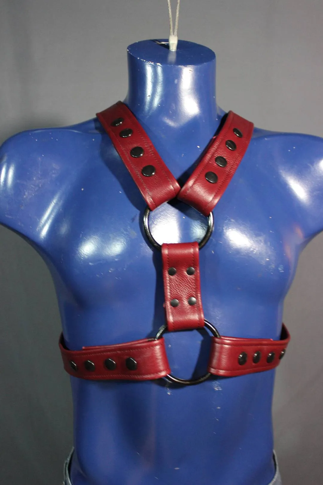 Classic Extended X Harness