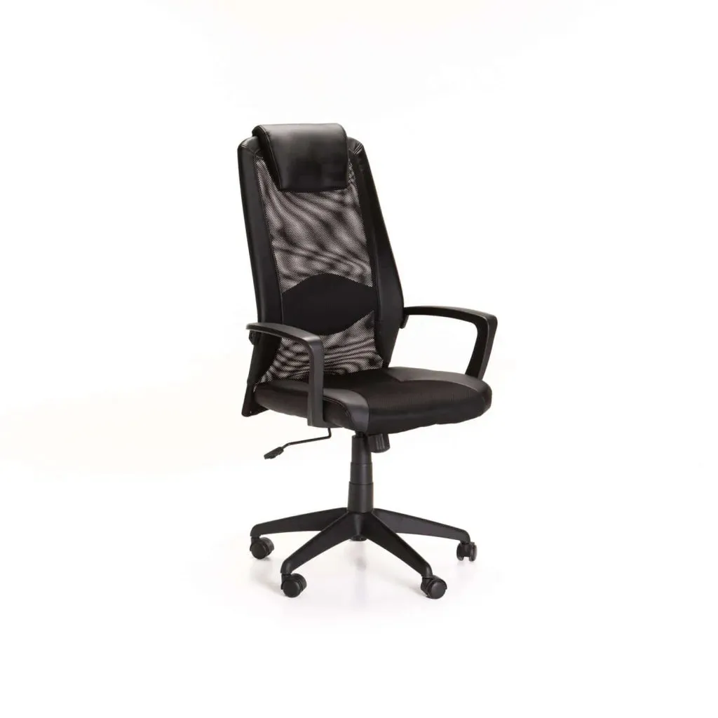 EXEC HIBACK OFFICE CHAIR W-156