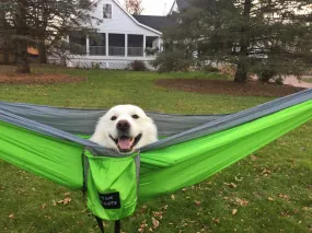 Green/Gray Hammock